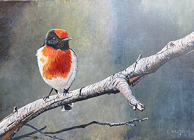 Oiseau sur une branche